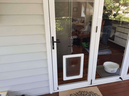 Pet Doors Dog Doors And Cat Doors