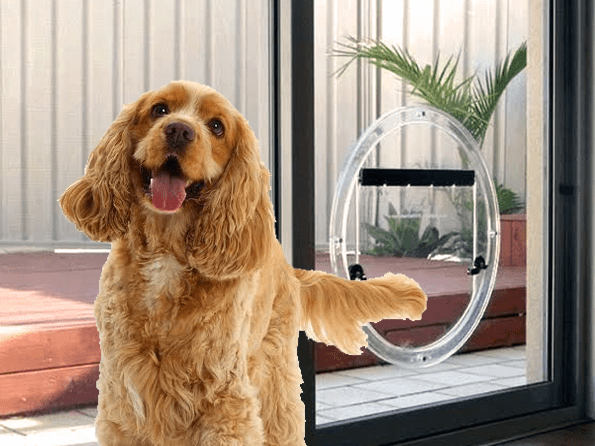 maagd machine huwelijk Installation of Pet Doors in Glass for Dogs and Cats